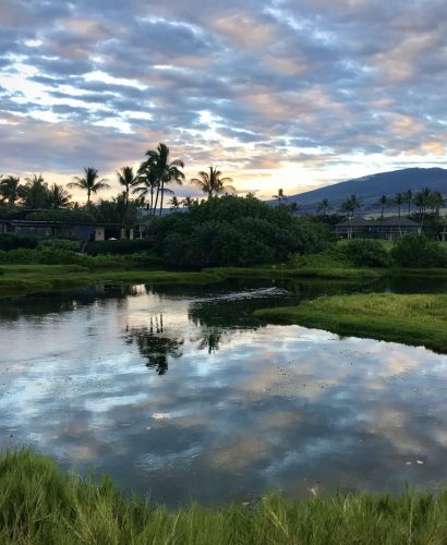 Trauma-Informed Therapy