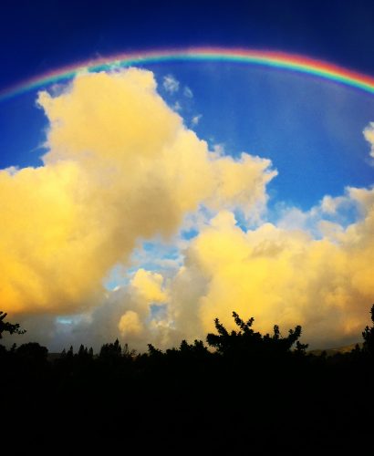 IFS Therapy & Individual Counseling in California