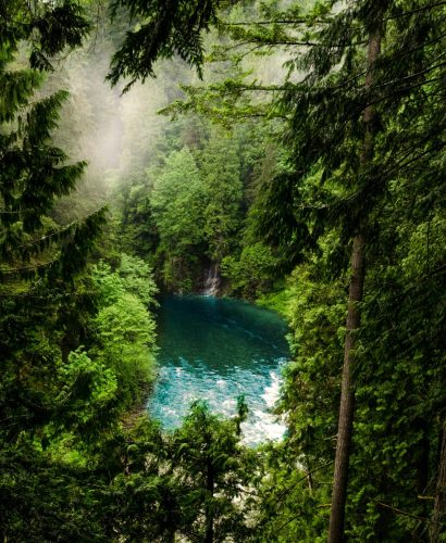 Integrative Therapy Approach