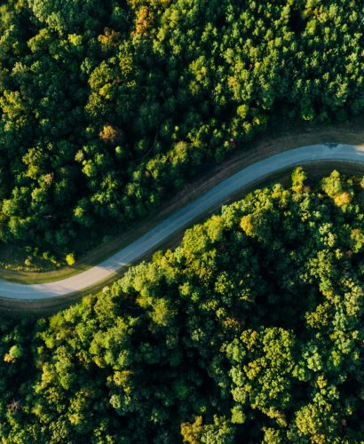 IFS Therapy & Individual Counseling in California